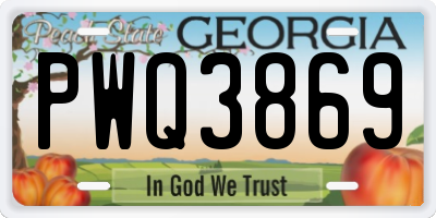 GA license plate PWQ3869