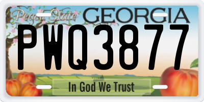 GA license plate PWQ3877