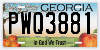 GA license plate PWQ3881