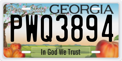 GA license plate PWQ3894