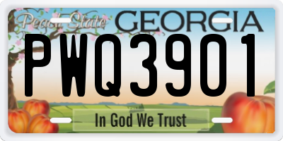 GA license plate PWQ3901