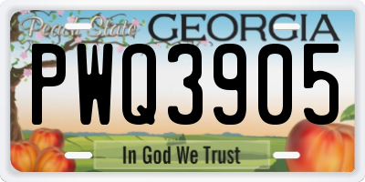 GA license plate PWQ3905