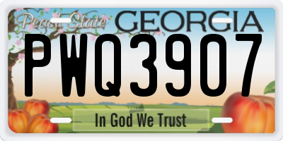 GA license plate PWQ3907