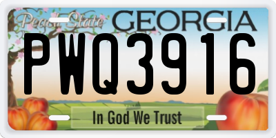 GA license plate PWQ3916