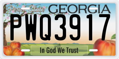 GA license plate PWQ3917