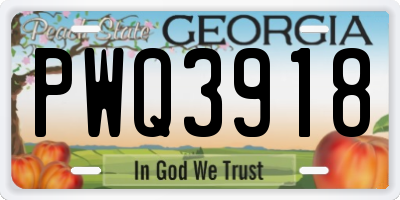 GA license plate PWQ3918