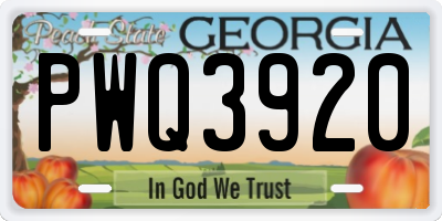 GA license plate PWQ3920