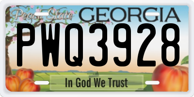 GA license plate PWQ3928