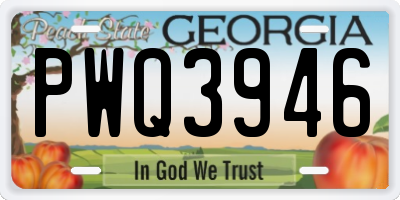 GA license plate PWQ3946