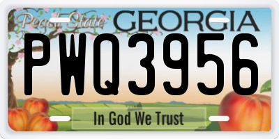 GA license plate PWQ3956