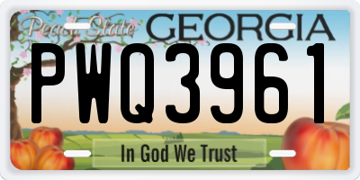 GA license plate PWQ3961