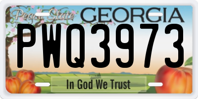 GA license plate PWQ3973