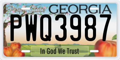GA license plate PWQ3987