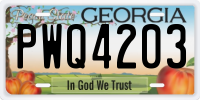 GA license plate PWQ4203
