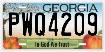 GA license plate PWQ4209