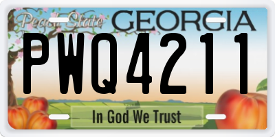 GA license plate PWQ4211
