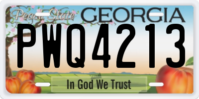 GA license plate PWQ4213
