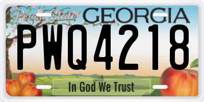 GA license plate PWQ4218