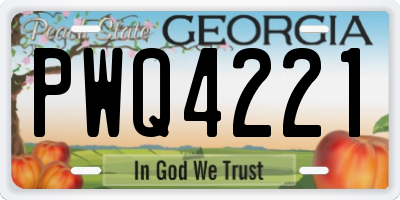 GA license plate PWQ4221