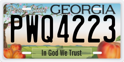 GA license plate PWQ4223