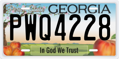 GA license plate PWQ4228