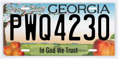GA license plate PWQ4230