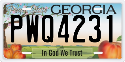 GA license plate PWQ4231