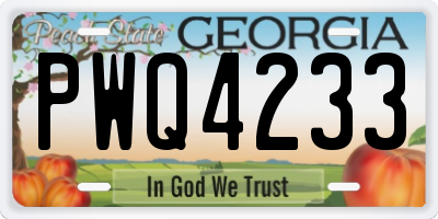 GA license plate PWQ4233
