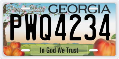 GA license plate PWQ4234