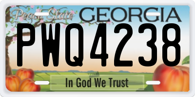 GA license plate PWQ4238