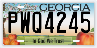 GA license plate PWQ4245