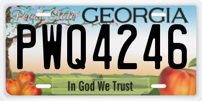 GA license plate PWQ4246