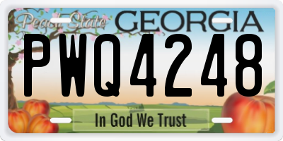 GA license plate PWQ4248