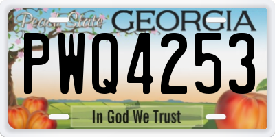 GA license plate PWQ4253
