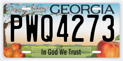 GA license plate PWQ4273