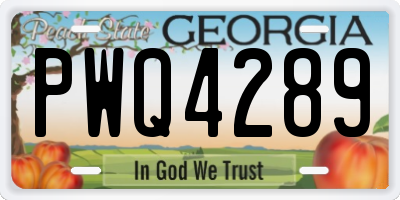 GA license plate PWQ4289