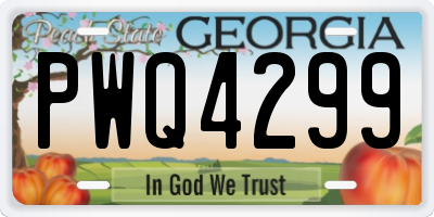 GA license plate PWQ4299