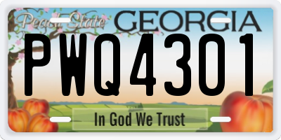 GA license plate PWQ4301