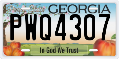 GA license plate PWQ4307