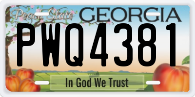 GA license plate PWQ4381