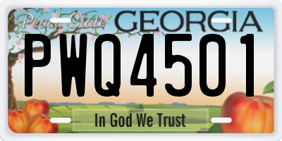 GA license plate PWQ4501