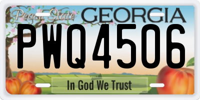 GA license plate PWQ4506