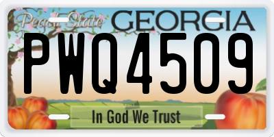 GA license plate PWQ4509