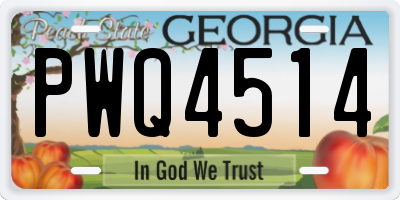 GA license plate PWQ4514