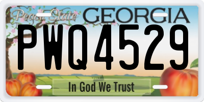 GA license plate PWQ4529