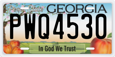 GA license plate PWQ4530