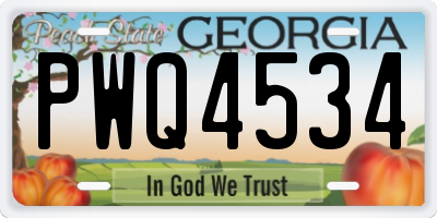 GA license plate PWQ4534