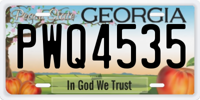 GA license plate PWQ4535