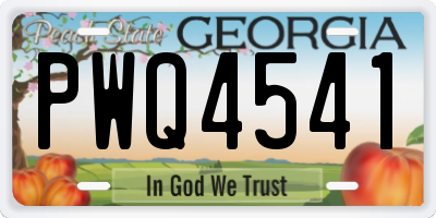 GA license plate PWQ4541