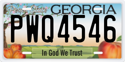 GA license plate PWQ4546